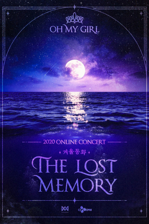 Winter Fairy Tales: The Lost Memory poster