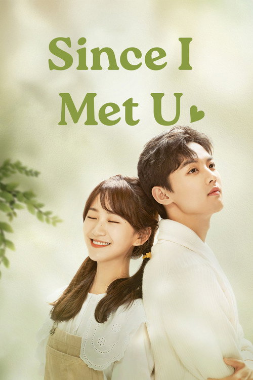 Since I Met U poster