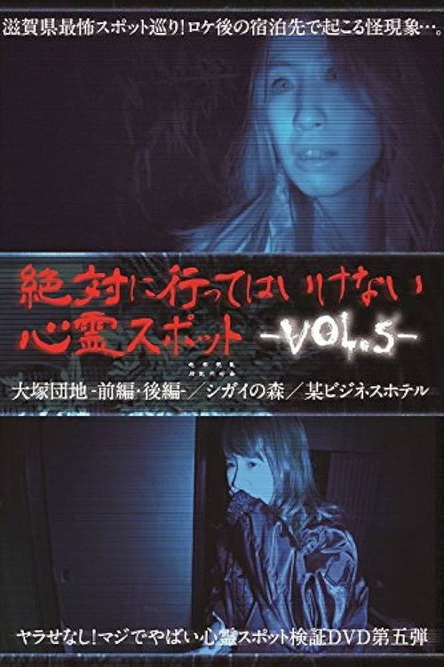 Absolutely Forbidden Haunted Spots Vol.5 poster