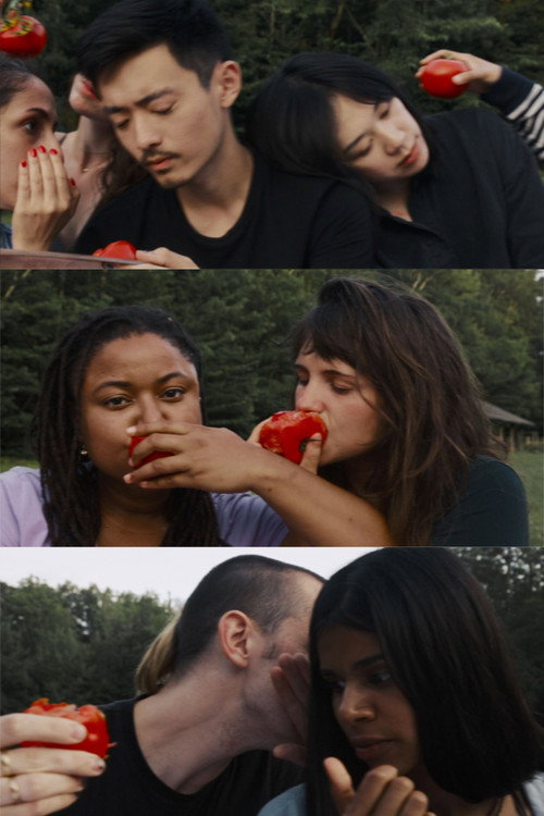 Tomatoes poster