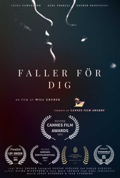 Faller För Dig poster