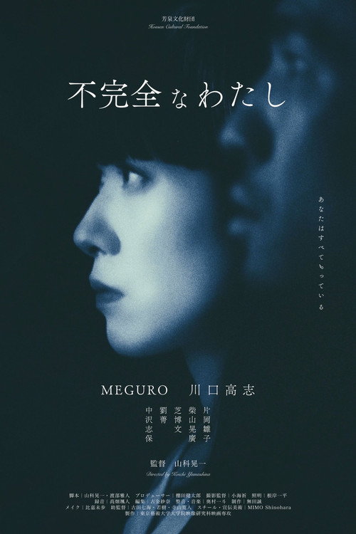 Imperfect Me poster