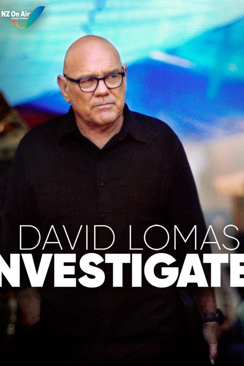 David Lomas Investigates poster
