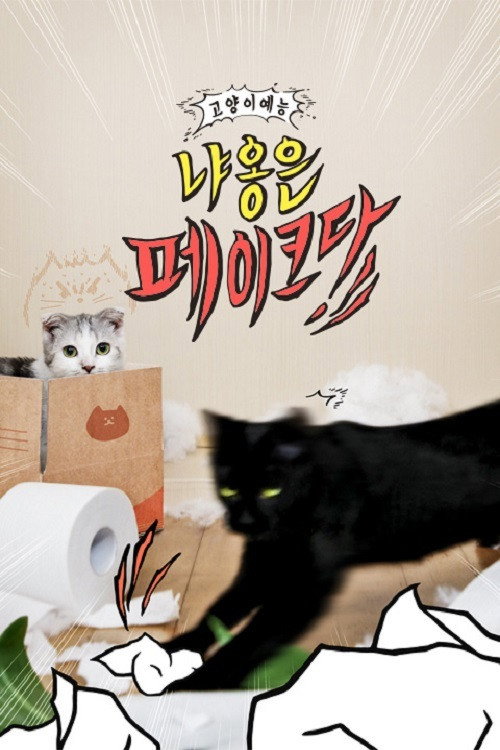 Decoding Meow poster