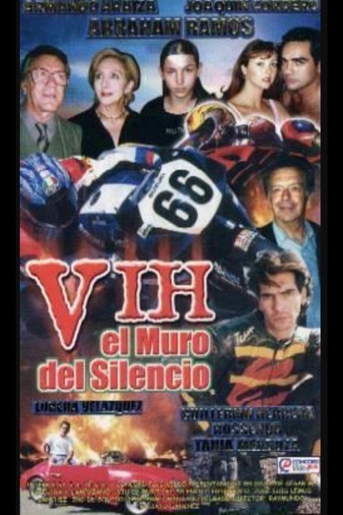V.I.H.: El muro del silencio poster