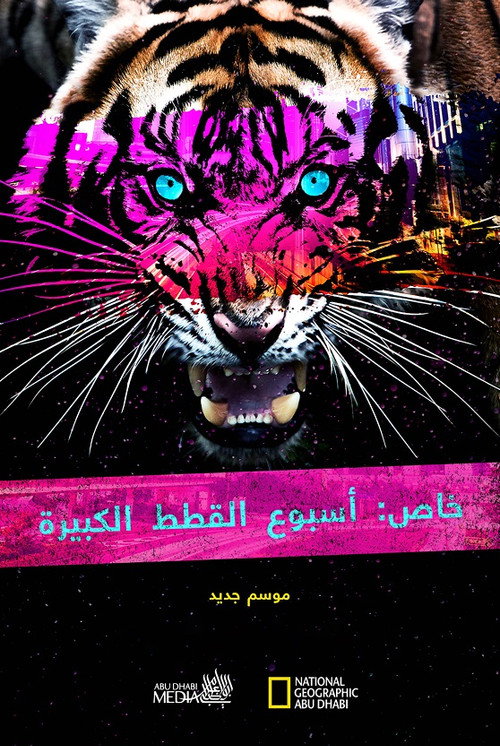 Big Cat Week Collection poster