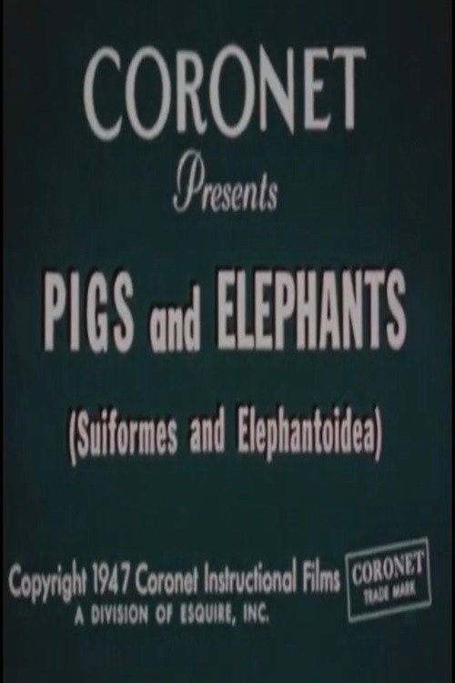 Pigs and Elephants (Suiformes and Elephantoidea) poster
