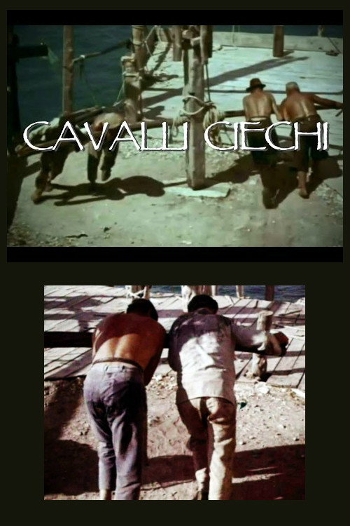 Cavalli ciechi poster