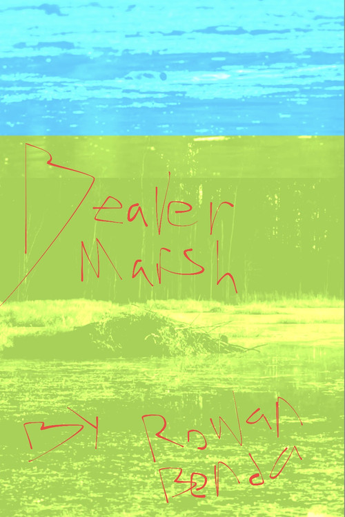 Beaver Marsh poster