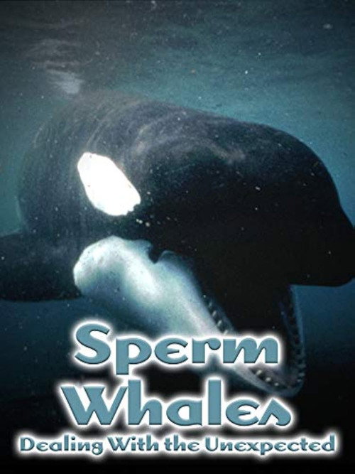 Sperm Whales: Dealing with the Unexpected poster