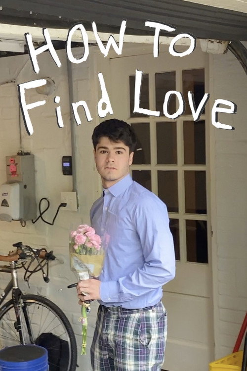 How to Find Love poster
