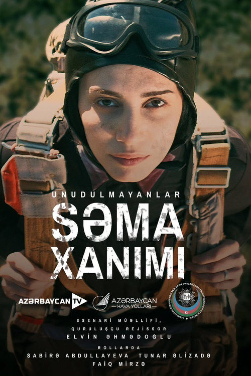 Lady of the Sky poster