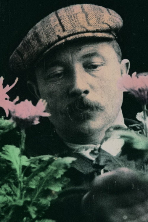Chrysanthemum, King of Autumn poster