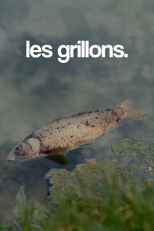 les grillons. poster