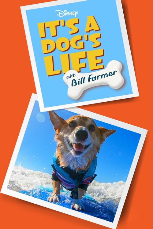 It's a Dog's Life with Bill Farmer poster
