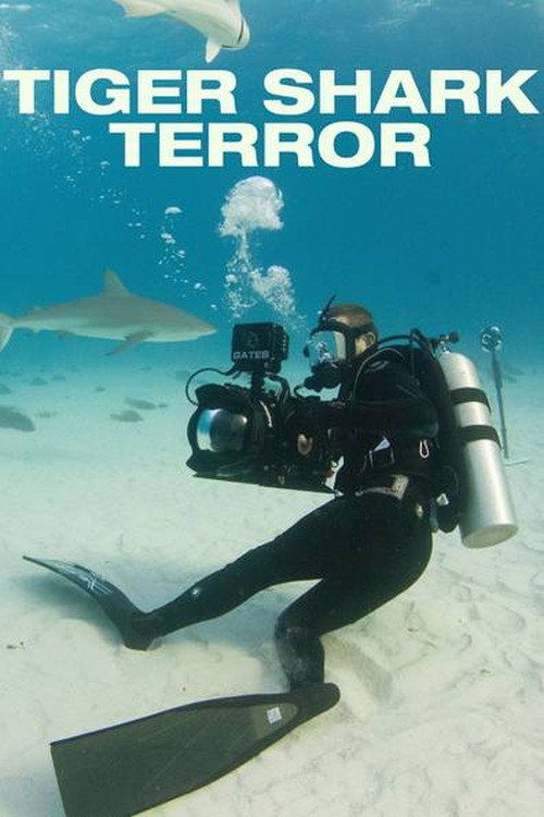 Tiger Shark Terror poster