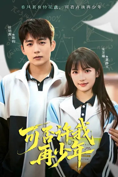可否许我再少年 poster