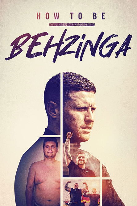 How to Be Behzinga poster
