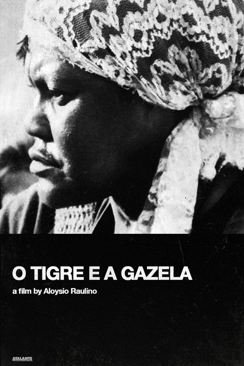 O Tigre e a Gazela poster