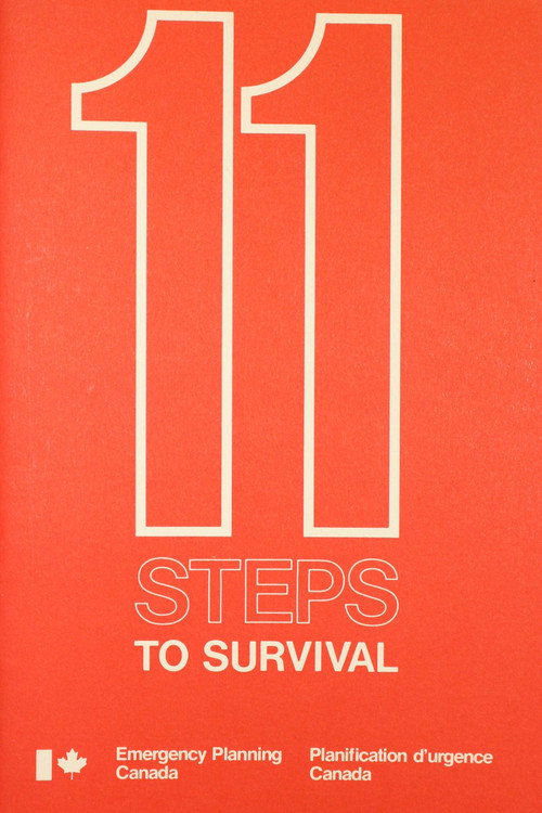 11 Steps to Survival poster