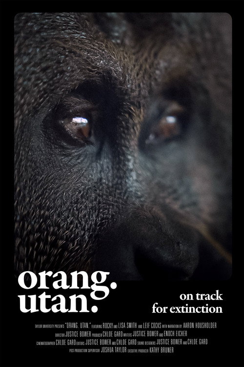 Orang. Utan. poster
