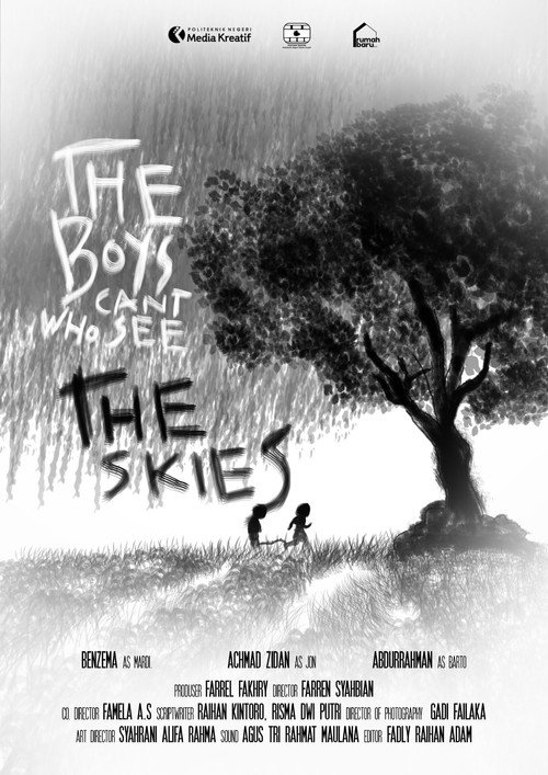 The Boys Who Can't See The Skies poster