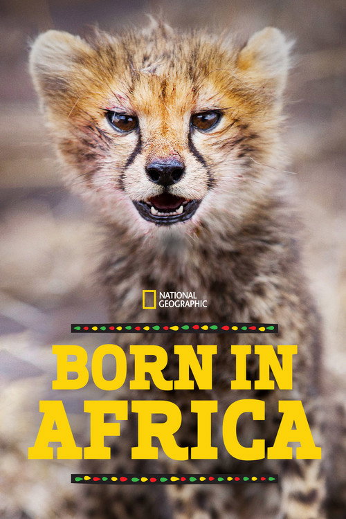 Born in Africa poster