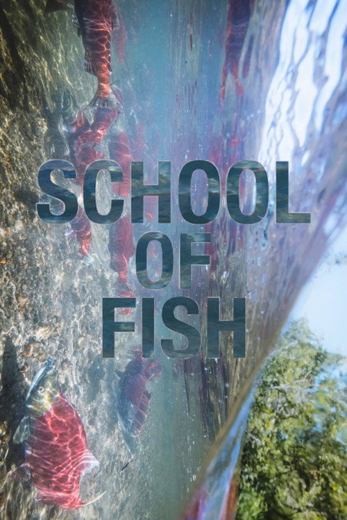 School of Fish poster