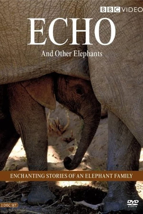 Echo and Other Elephants poster