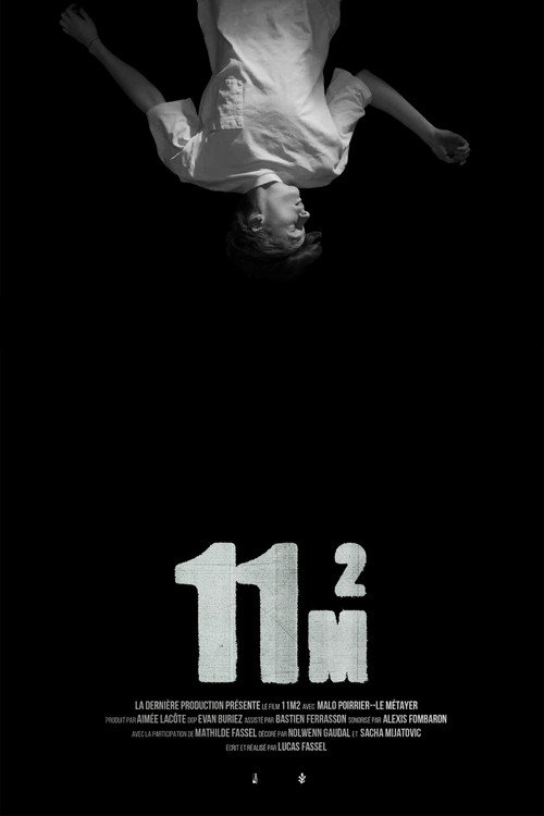 11m2 poster