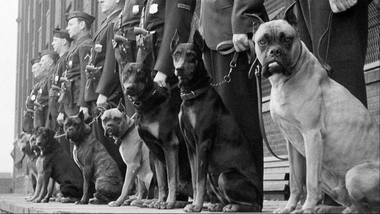 Beasts of War still 1