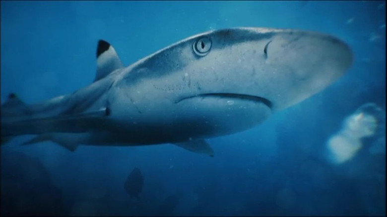 Une saison à Tahiti still 1
