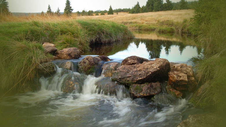 Tajný život skal still 1