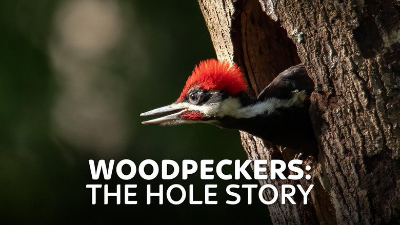 Woodpeckers: The Hole Story still 1