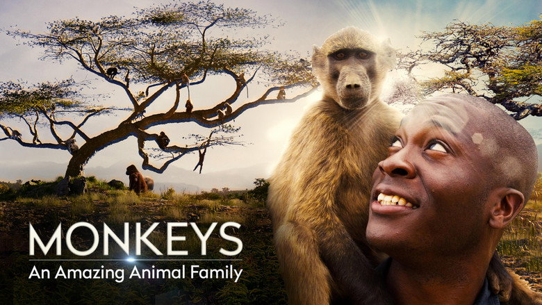 Monkeys: An Amazing Animal Family still 1