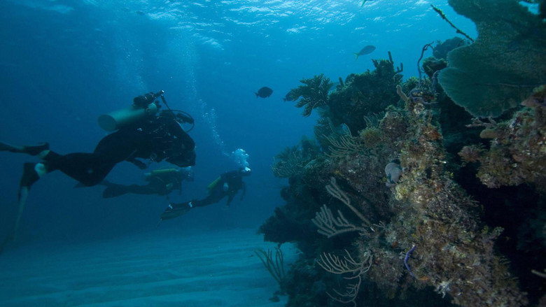 Oceans still 2