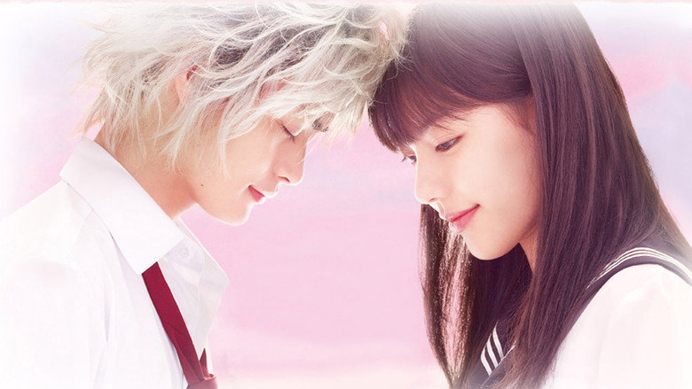 Sky of Love: Someone I love is there still 3