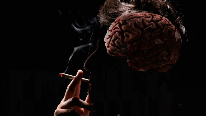 How Drugs Work still 3