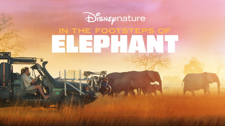 In the Footsteps of Elephant still 4