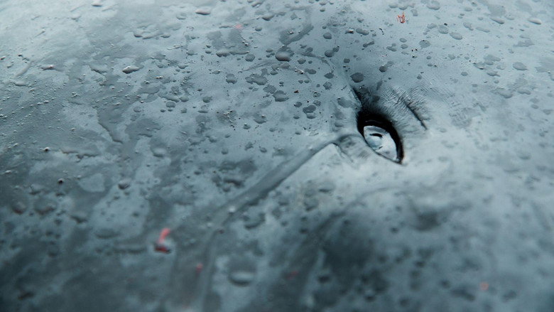 A Taste of Whale still 3