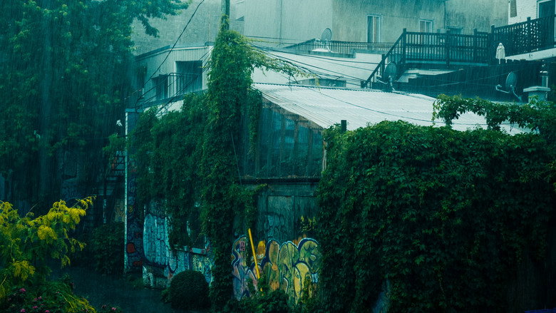 Plateau still 3