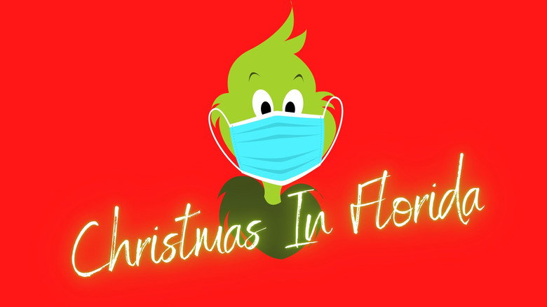Christmas In Florida still 5
