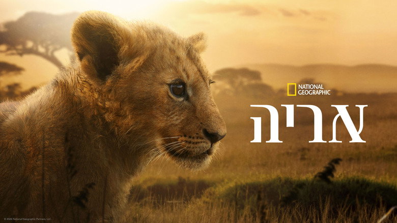 Lion still 3