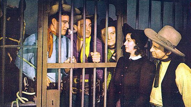 Three Texas Steers still 3