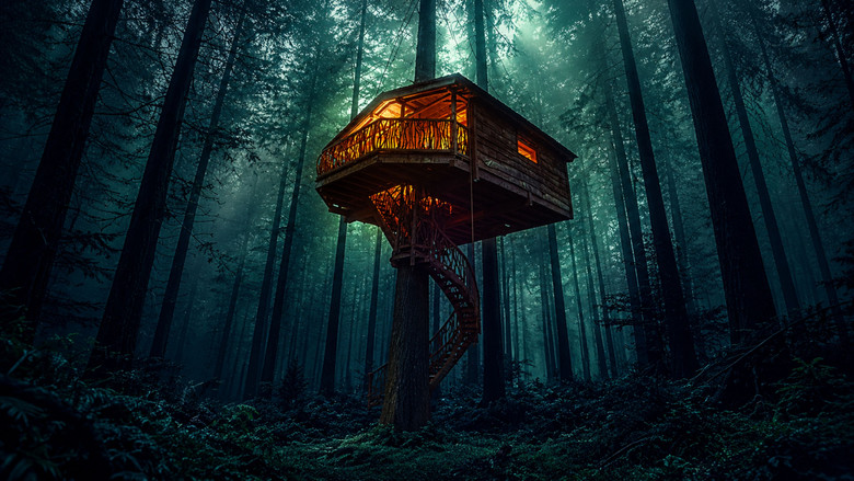 The Treehouse still 7