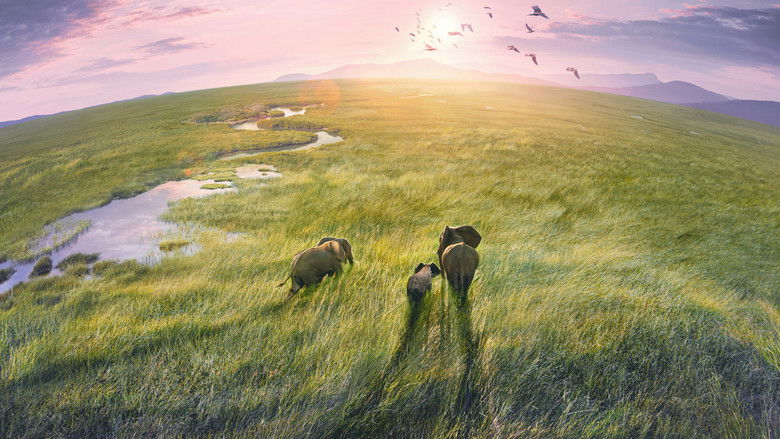 Planet Earth III still 1