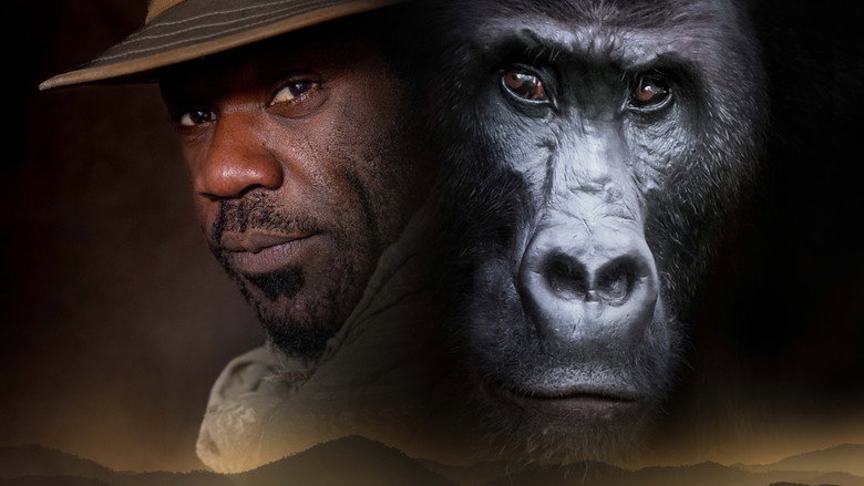 Silverback still 3