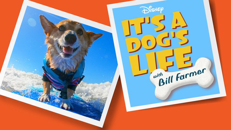 It's a Dog's Life with Bill Farmer still 7