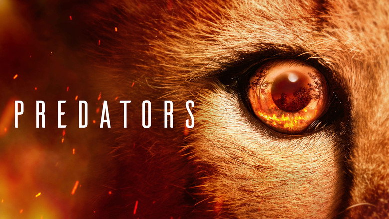 Predators still 1