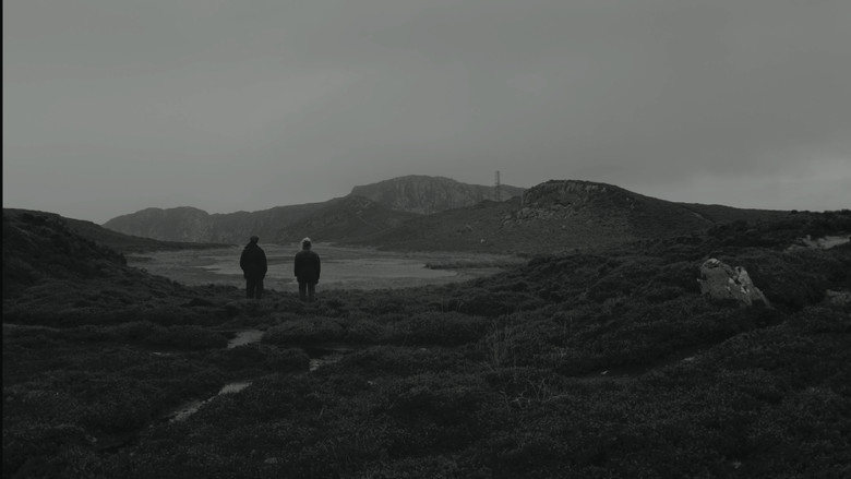 Worm still 1